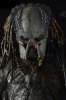 Predator Series 3 Elder Predator 49 cm 1/4 Scale